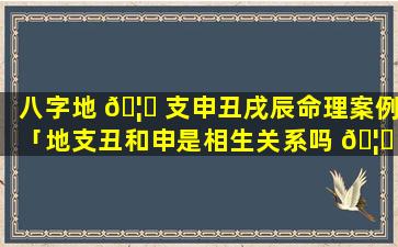 八字地 🦍 支申丑戌辰命理案例「地支丑和申是相生关系吗 🦟 」